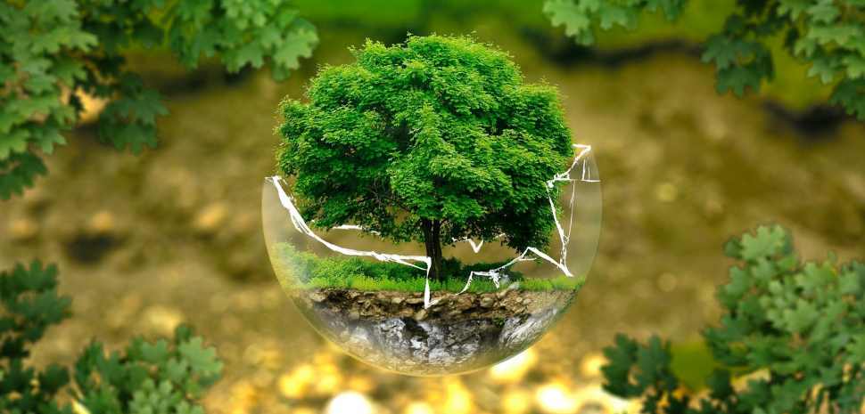 Gases de Efeito Estufa os Desafios e a Relevância da CETESB no Controle Ambiental