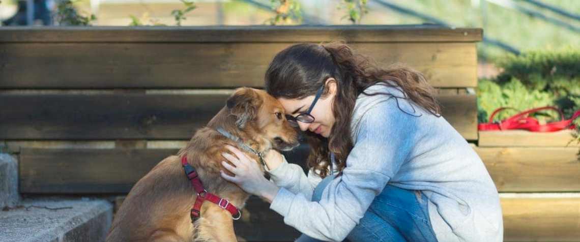 A Segurança de Seu Pet nas Festas de Reveillon